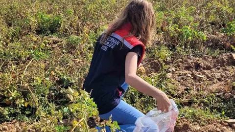 Aydın'da pestisit denetimleri sürüyor