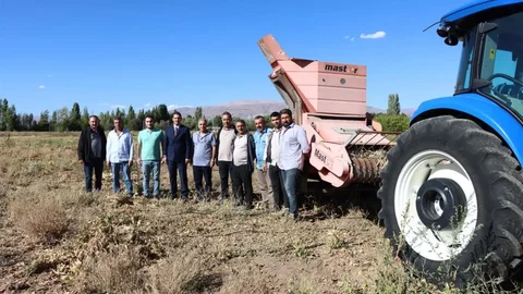 Erzincan'da kuru fasulye hasat sezonu başladı