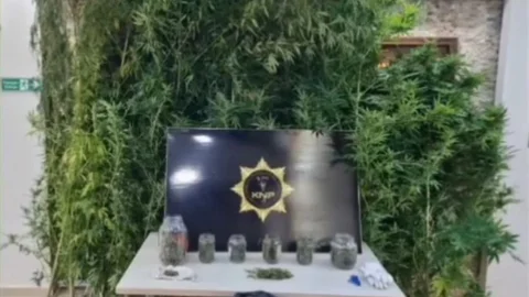 Kırklareli'nde uyuşturucu operasyonu düzenlendi