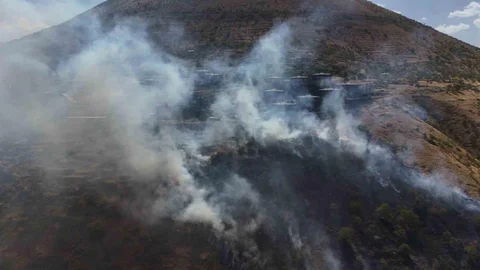 Kayseri'de orman yangını paniğe neden oldu