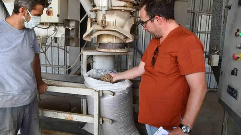 Aydın'da sokak hayvanları için örnek proje