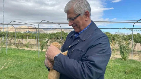 TVHB Genel Başkanı Eroğlu, hayvanların korunması için farkındalık yaratılması gerektiğini vurguladı.