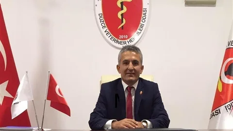 Düzce'de hayvan hakları için umut verici gelişmeler