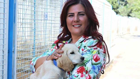 Aydın'da sokak hayvanları için 244 bin metrekarelik alan