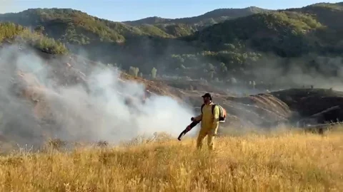 Bingöl'de orman yangını kontrol altına alındı