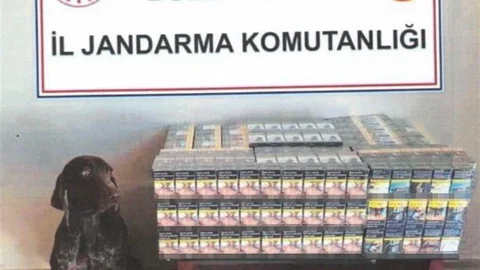 Bolu'da yolcu otobüsünde 430 paket kaçak sigara bulundu