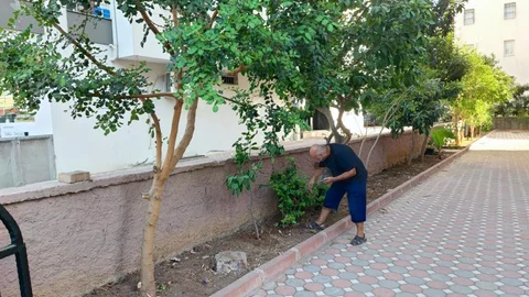 Adana'da çalınan telefon 15 ay sonra bulundu