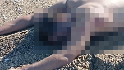 Karasu sahilinde çıplak erkek cesedi bulundu