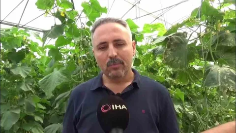 Diyarbakır'da devletten destek alarak seracılık yapan girişimci, 20 kişiye istihdam sağlıyor