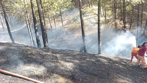 Bingöl'de Orman Yangını