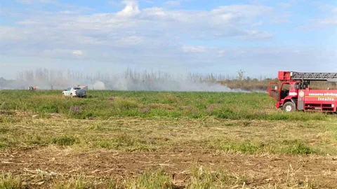 Sakarya'da otluk alanda yangın kontrol altına alındı