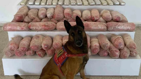 Van'da Uyuşturucu Operasyonu