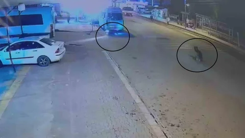 Hatay'da motosiklet kazası