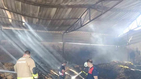 Hatay'da samanlık yangını