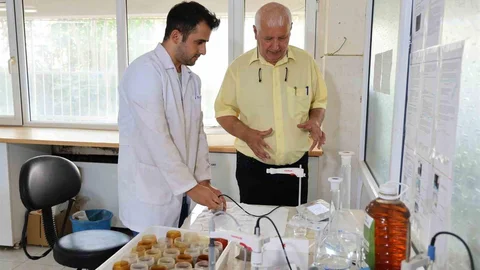 Akdeniz'de toprak sağlığı sorunu inceleniyor