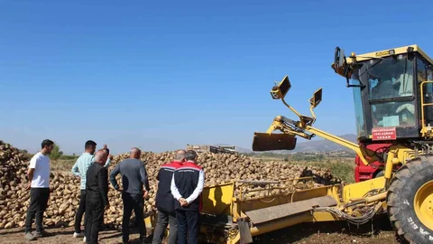 Pazar'da 450 bin ton şeker pancar hasadı hedefleniyor