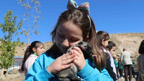 Sivas'ta Öğrenciler Kangallarla Buluştu
