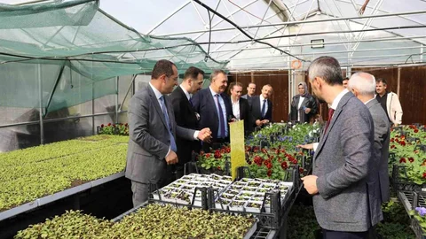 Trabzon'da Tarımsal Üretime Destek Devam Ediyor