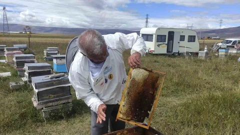 Ardahan'da Arıcılıkla İlgili Önemli Uyarılar