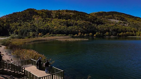Bolu'da Abant Gölü Milli Parkı'nda sonbahar renkleri