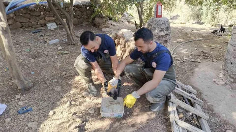 Karaköprü'de foseptik çukuruna düşen köpek yavrusu kurtarıldı