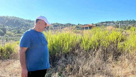 Antalya'da Keçi Katliamı: Çiftçi Şokta