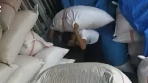 Gaziantep'te fıstık hırsızlığı kameralara yansıdı.