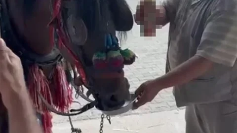 Yatağan'da Hayvan Hakları İhlali