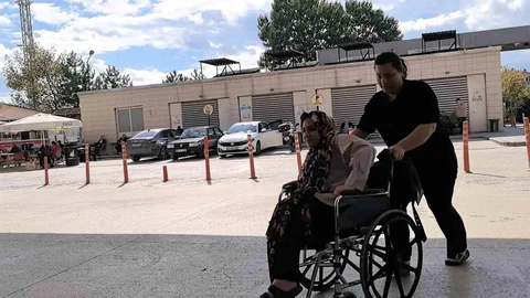 Bursa'da Piknikte Yılan Isırdı