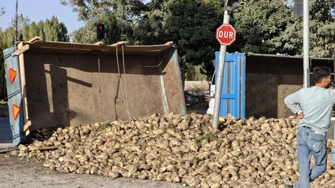 Muş'ta traktör devrildi