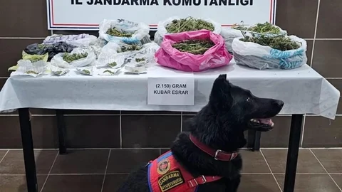 Muş’ta uyuşturucu operasyonu