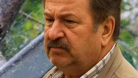 Kastamonu'da ağaç kesimi faciası