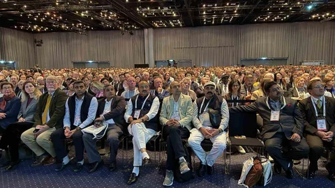 Düzce'de Bilimsel Çalışmalar Dünyaya Tanıtıldı