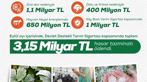 Ankara'da Tarım Sigortası Açıklaması