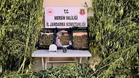 Mersin'de "jandarmadan Uyuşturucu Madde Operasyonu"