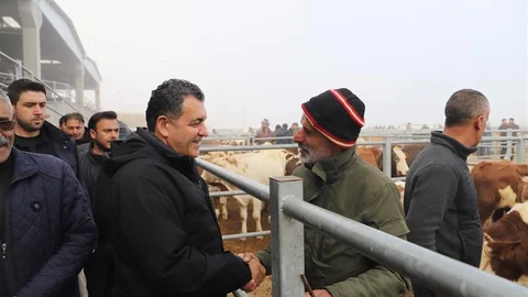 Ardahan'da hayvan pazarı yeniden açıldı