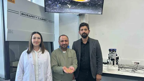 Sivas'ta organik bulgur üretimi gerçekleştirildi