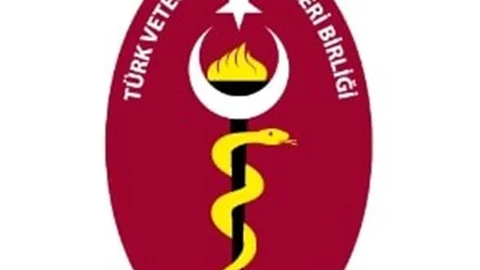 Ankara'da veteriner hekim kadrosu yetersiz kaldı