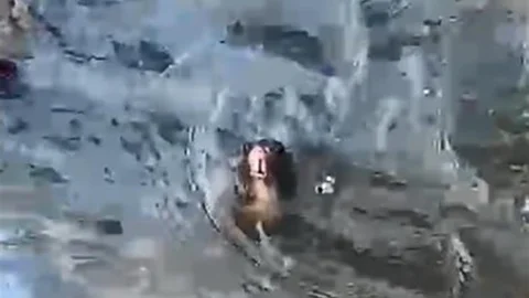 Marmaris’te temizlik yapılmayan rögardan bir fare boğulmamak için çabalıyor