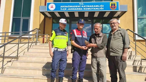 Yozgat'ta yaralı çakır kuşu bulundu