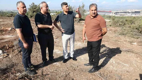 Akdeniz'de sokak hayvanları için doğal yaşam alanı kuruluyor