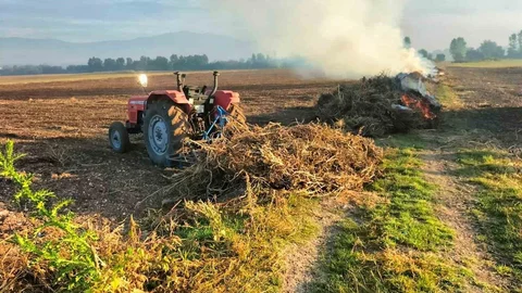 Bolu'da anız yakmanın cezası var