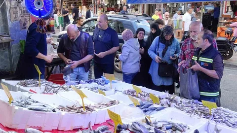 Samsun'da hamsi fiyatları yarıya düştü