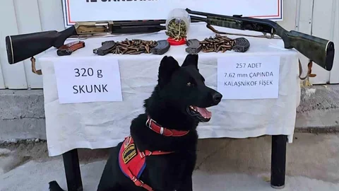 Muş'ta jandarma uyuşturucu ve silah operasyonu gerçekleştirdi