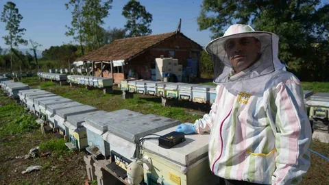 Samsun'da arıcılığı geliştiren yerli cihaz