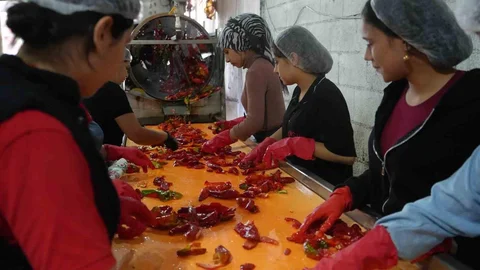 Gaziantep'te kadınların salça üretimindeki emeği