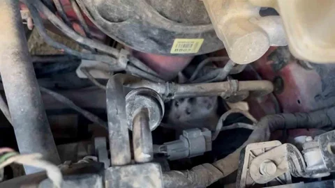 Tekirdağ'da yavru kedileri itfaiye kurtardı