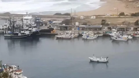 Kırklareli Vize'de balıkçılar palamut azlığından yakındı