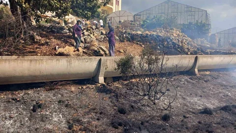 Antalya'da zirai alanda yangın kontrol altına alındı