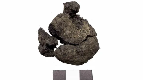 Eskişehir'de Küllüoba Açıklaması